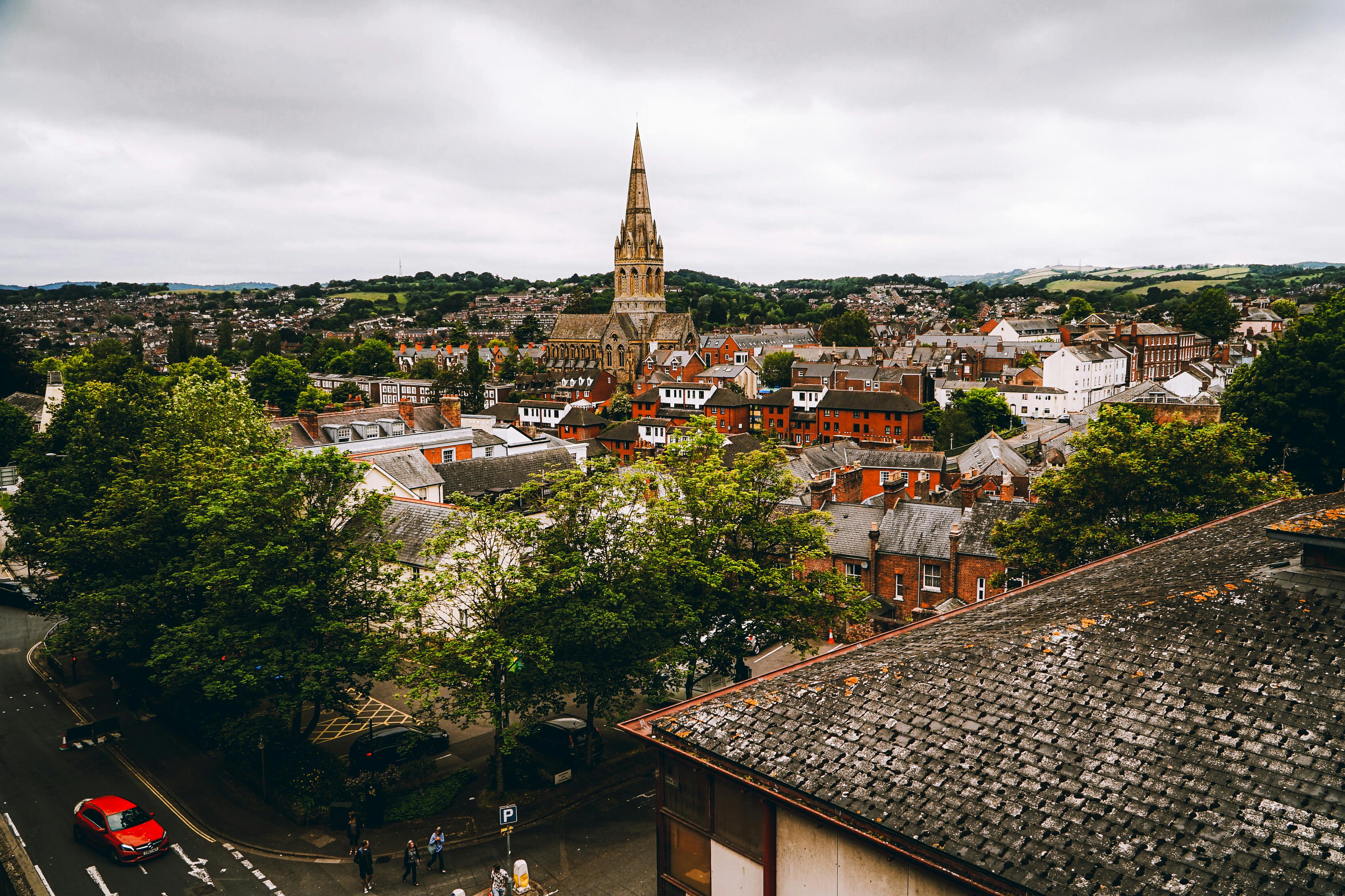 Animal Health Certificate service in Exeter