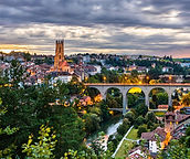 Animal Health Certificate service in Bristol