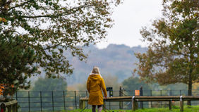 Animal Health Certificate in Buckinghamshire
Pet Travel into the EU from Buckinghamshire