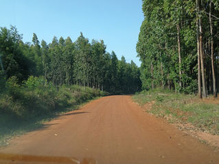 Swaziland