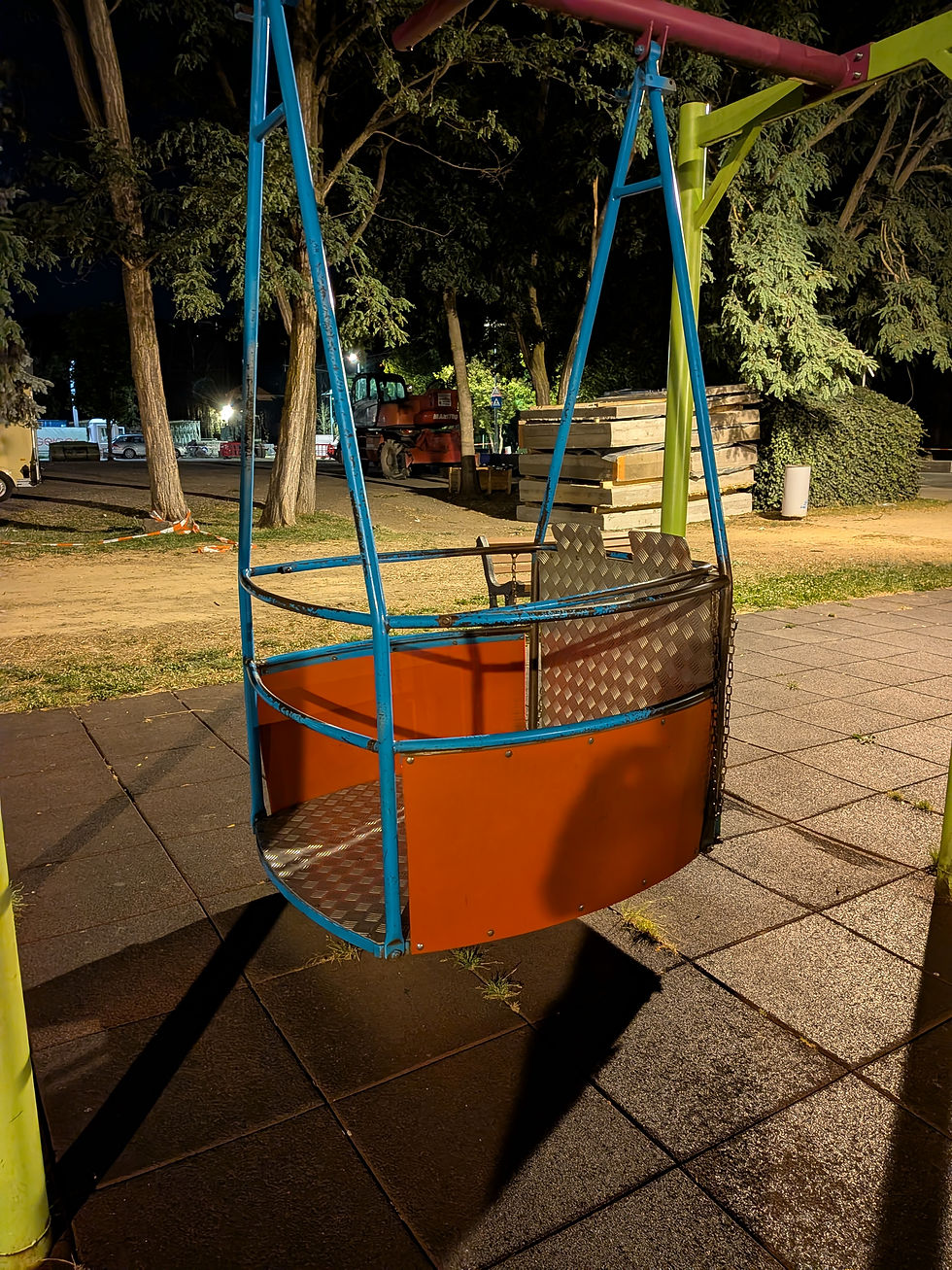 Balancoire pour fauteuil roulant
