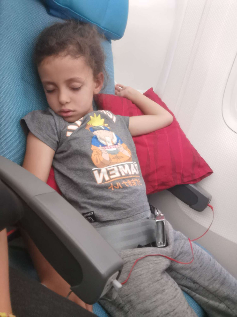 Istanbul-Paris. Dodo tout le vol
