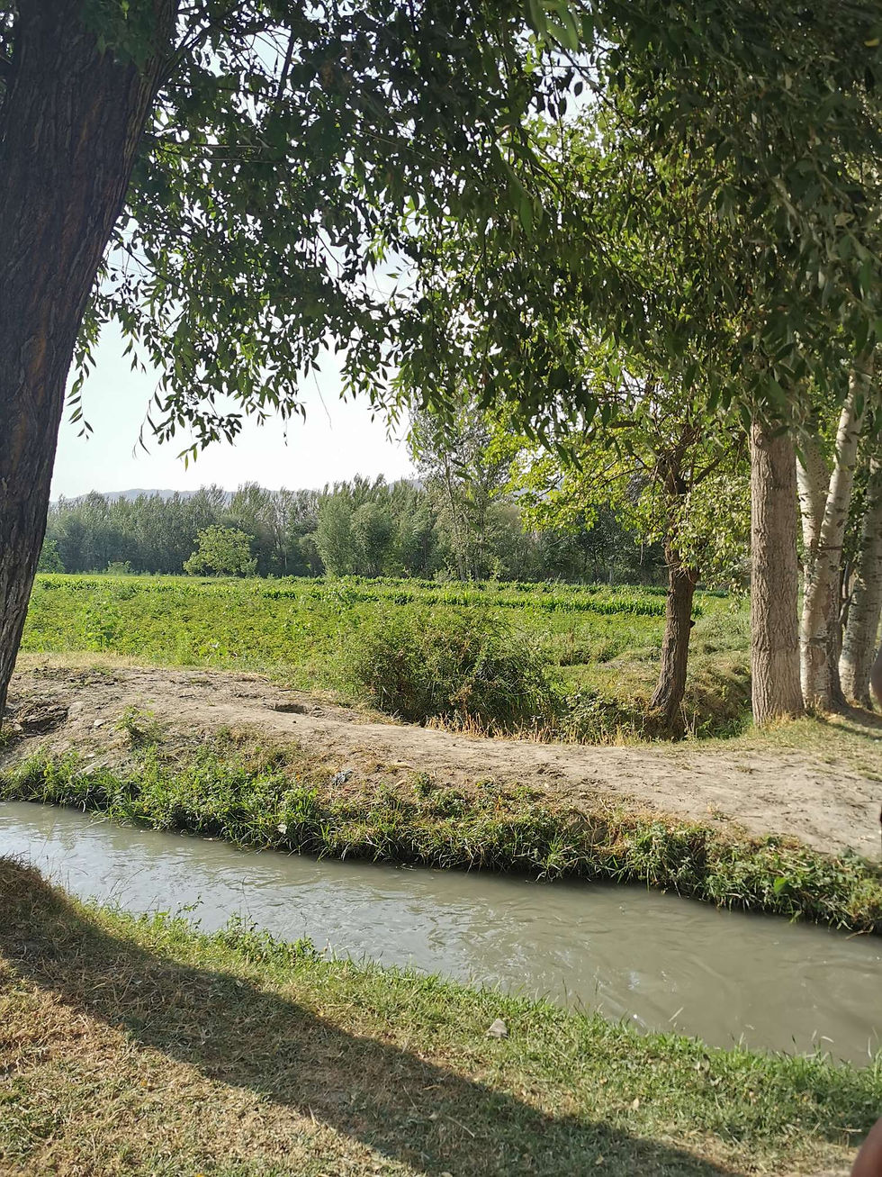 A peine sortis de la rue principale de Pendjikent, la campagne
