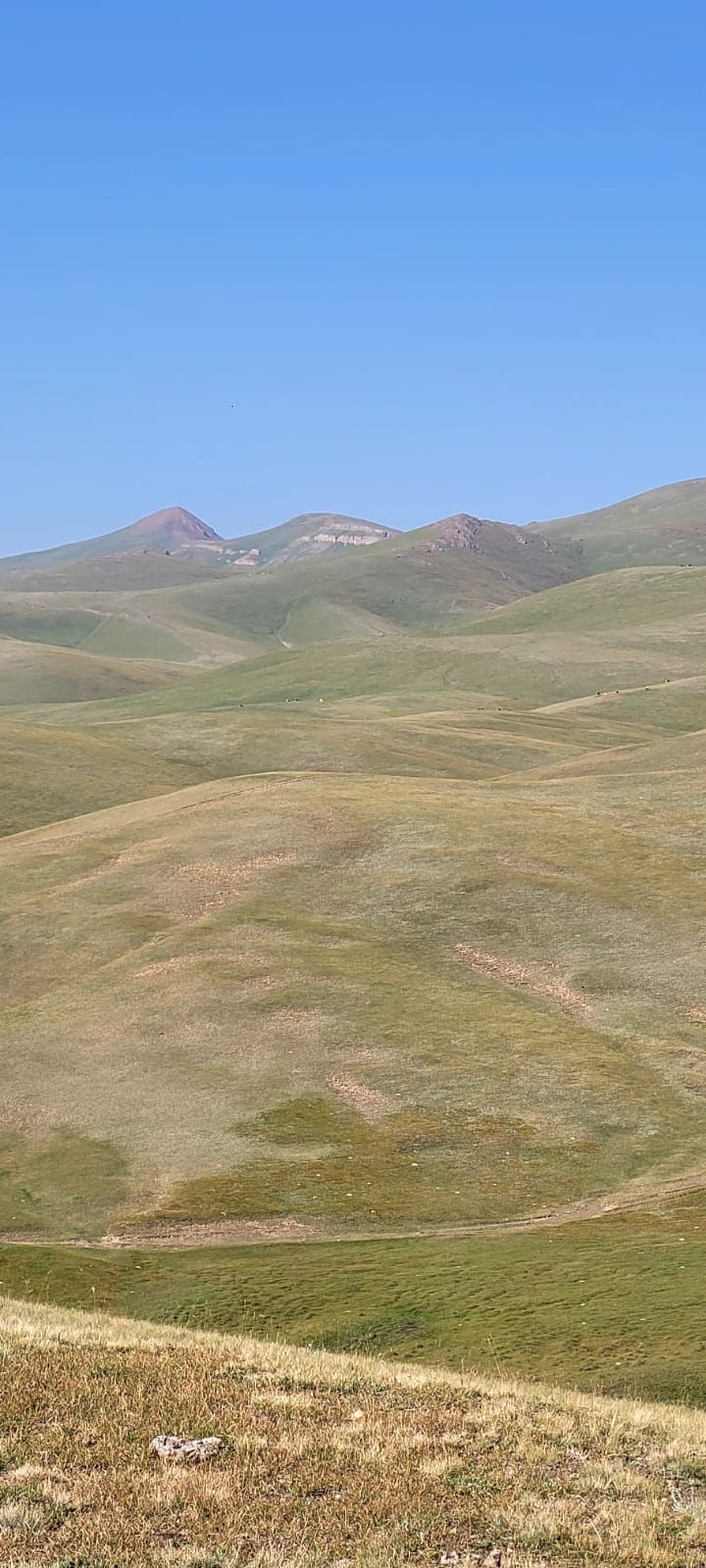 On quitte les steppes
