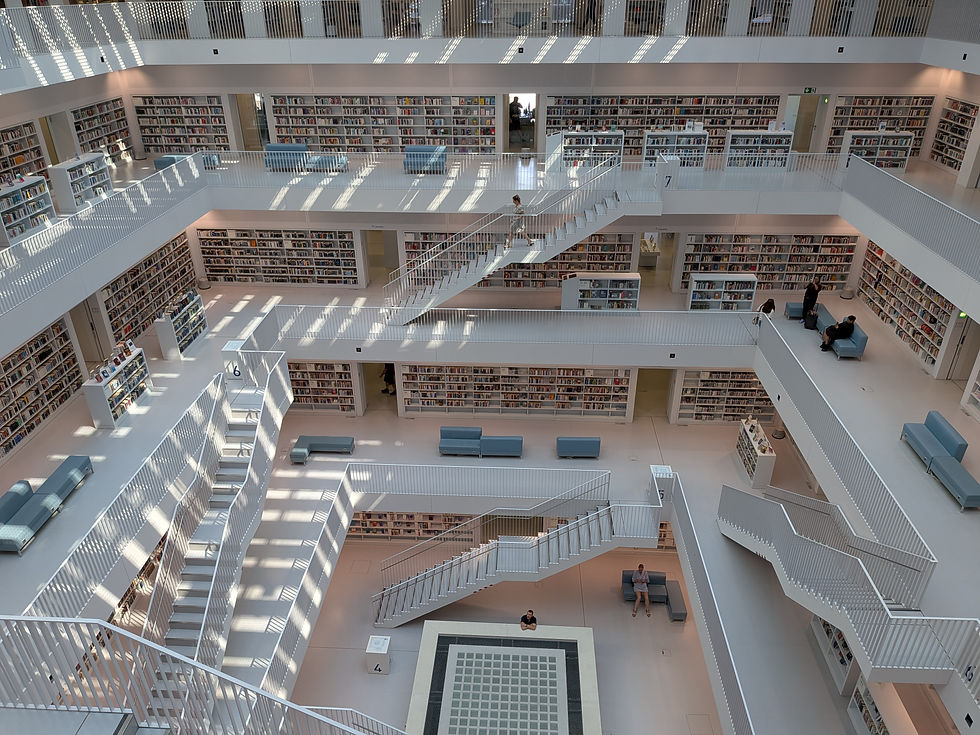 La superbe bibliothèque (climatisée)
