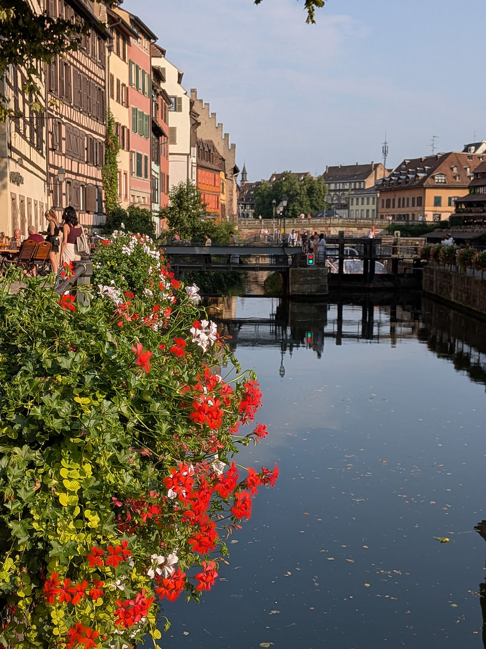 Les fleurs, de la Roumanie à Strasbourg