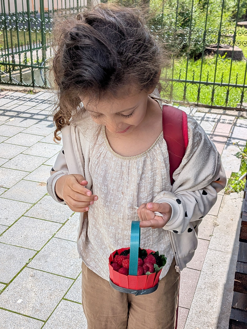 Panier dévoré en moins de 2 minutes