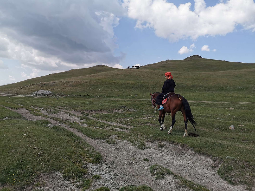 Mon cheval qui ne veut pas s'arrêter