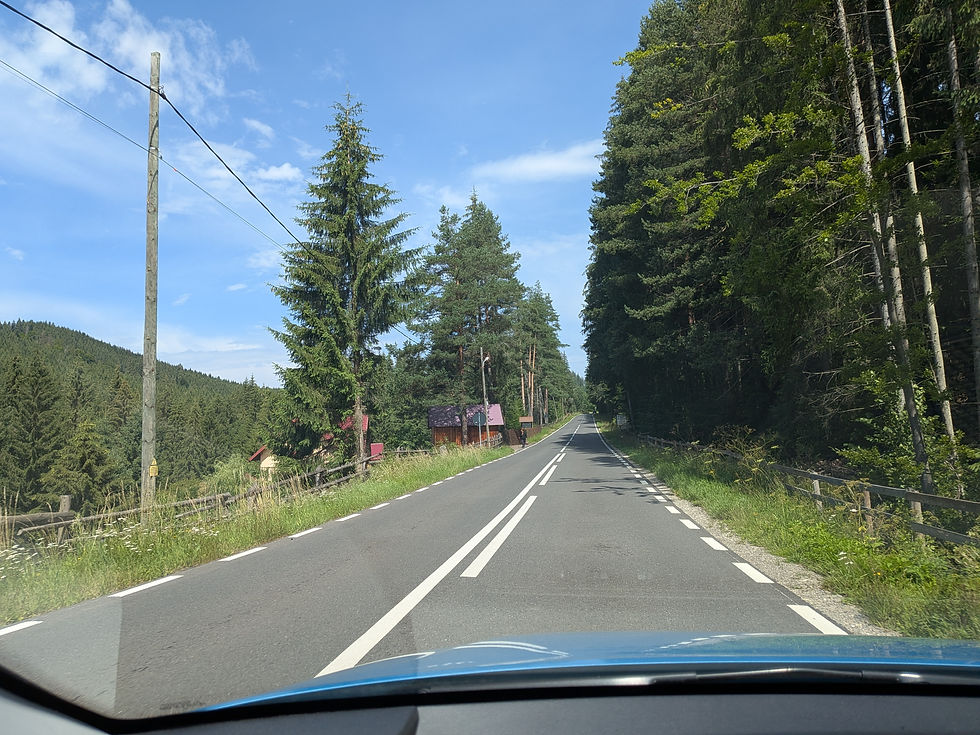 La route trop mignonne