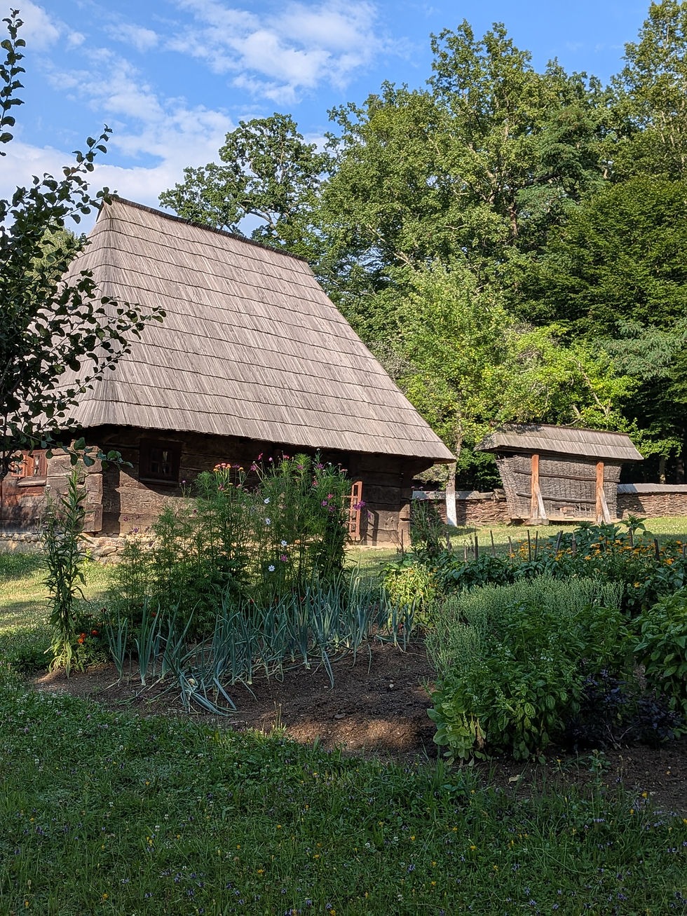 Ils ont même reconstitué les potagers ! Ça pousse sacrément bien en Transylvanie