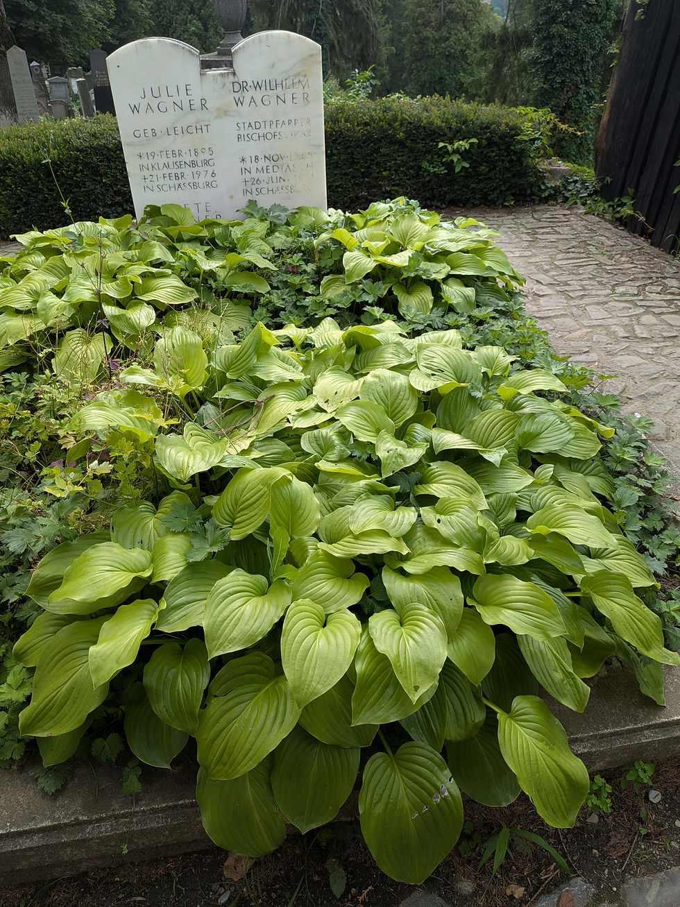 Cimetière