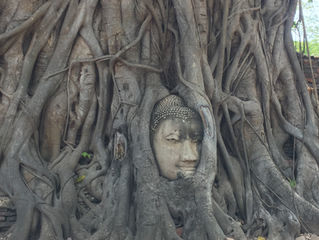 Ayutthaya - Bangkok
