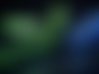 Is Adyen een betere koop dan de AEX? Adyen Deepdive