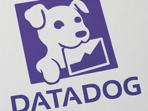 Deepdive: Datadog: een groeiparel voor de toekomst?!