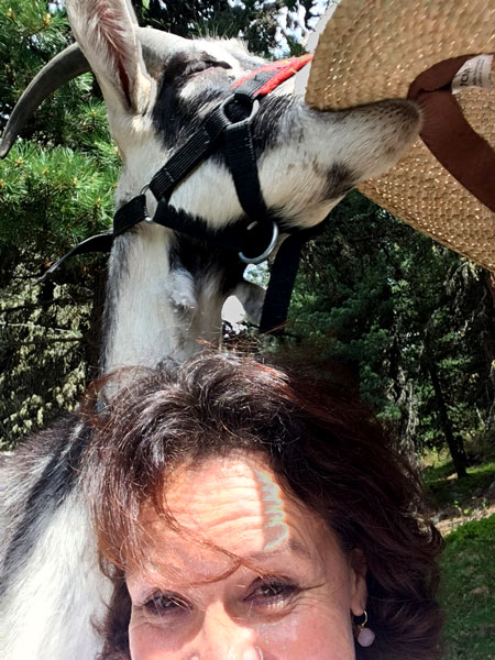 Geissenschar | MiniGeiss-DiniGeiss