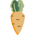 carrot (1).png