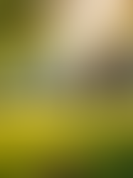 Stadtgestaltung: Emotionale Räume für das tägliche Leben