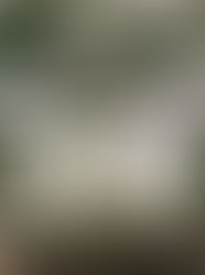 オーガニックカラー