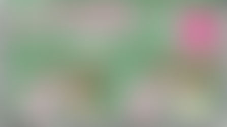 学生さん、キャンペーン!!