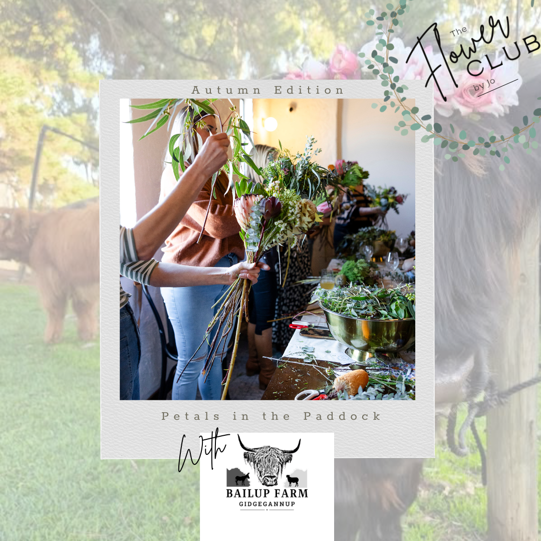 Petals in the Paddock