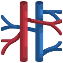 vein.webp