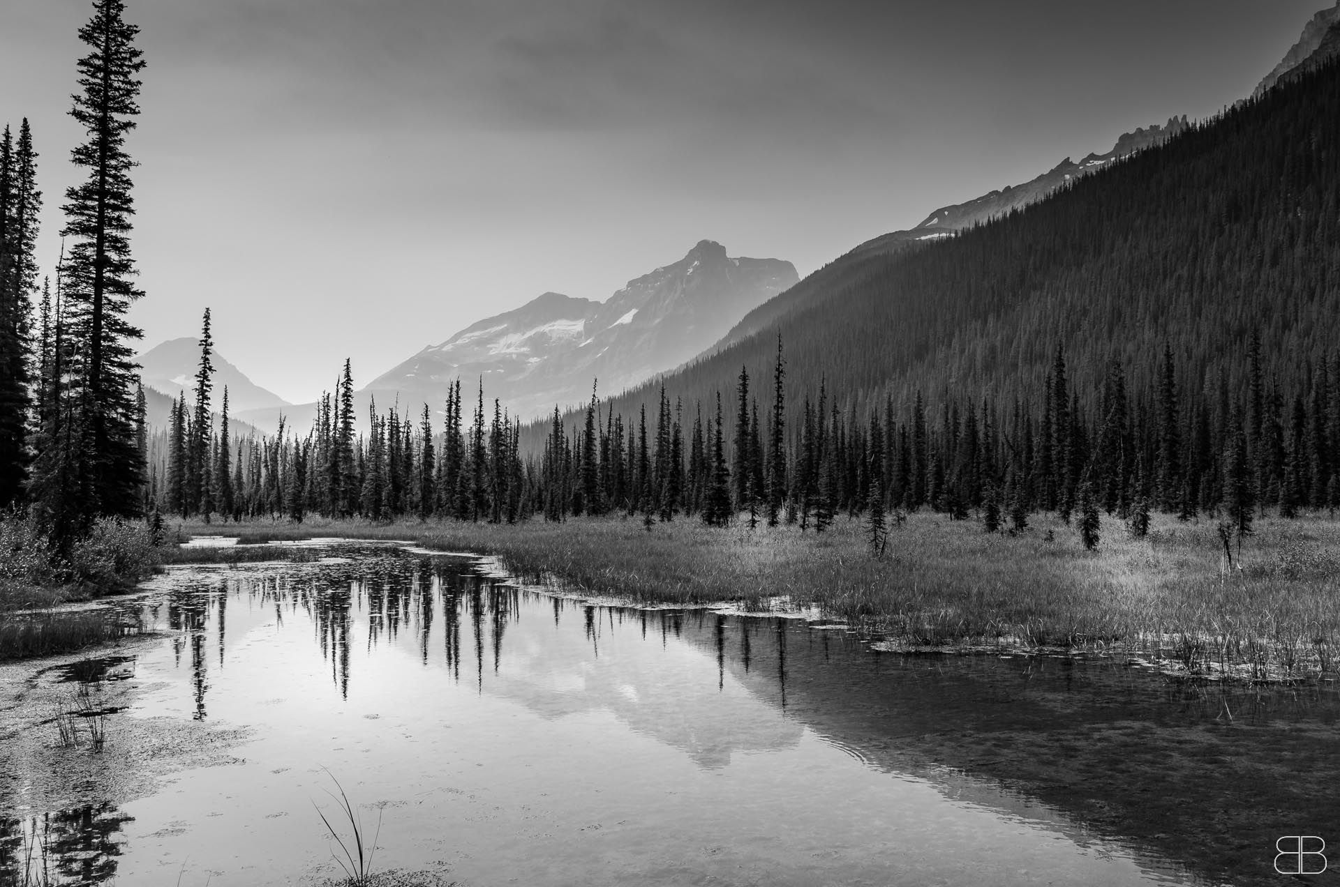 Lake O'Hara Trail