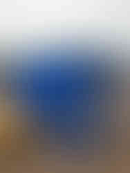 A blue kelly tanks silt settlement tank