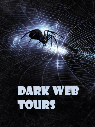 Dark Web Tours black spider on an illuminated web.