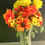 Thumbnail: Tequila Sunrise, beautiful bright inviting artificial flower arrangement, booksh