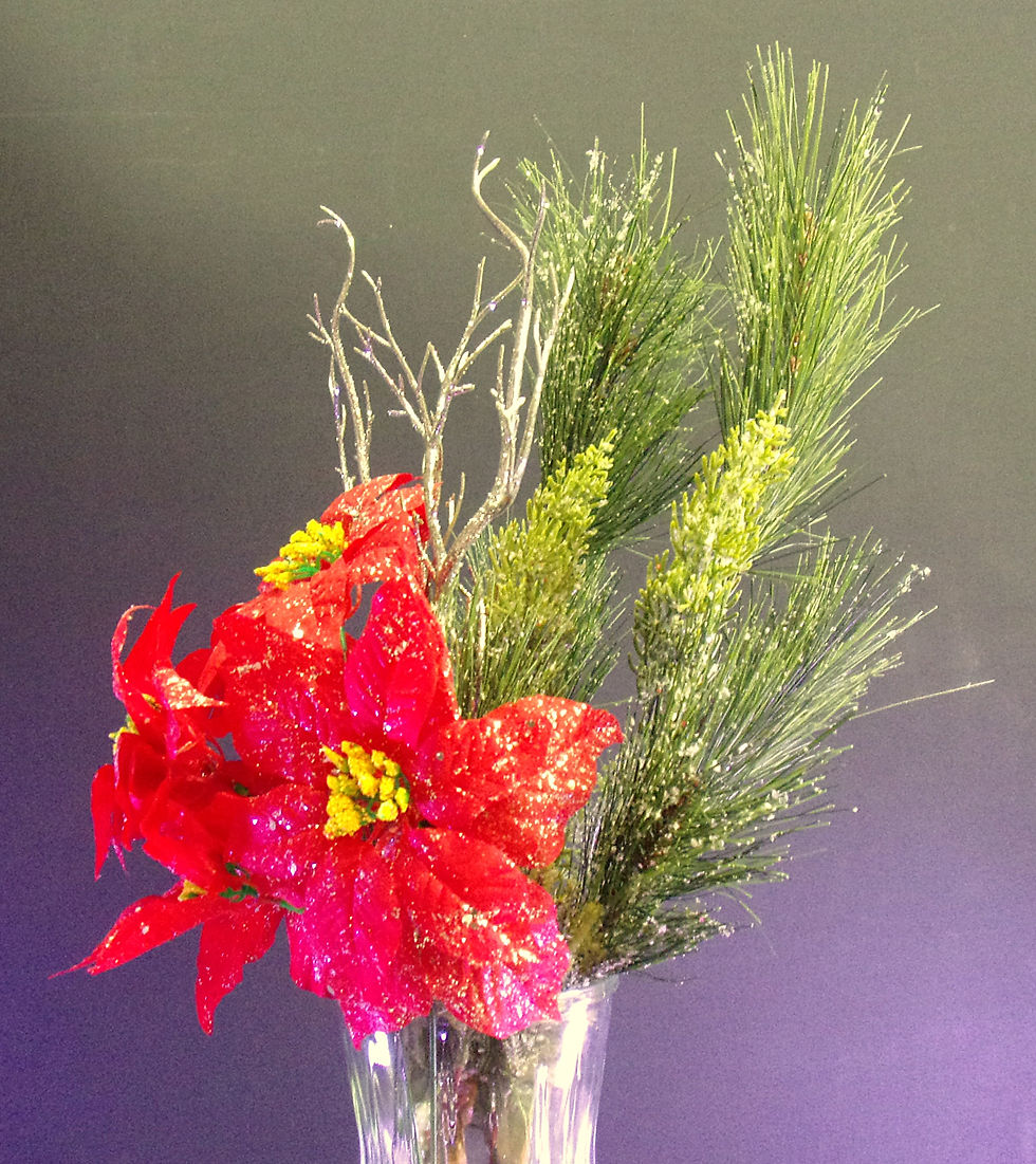 Thumbnail: Snowy Poinsettia
