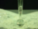 Thumbnail: Silver Serenity, Grey Eucalyptus, Silver Stones, in a Stylish Champagne Flute