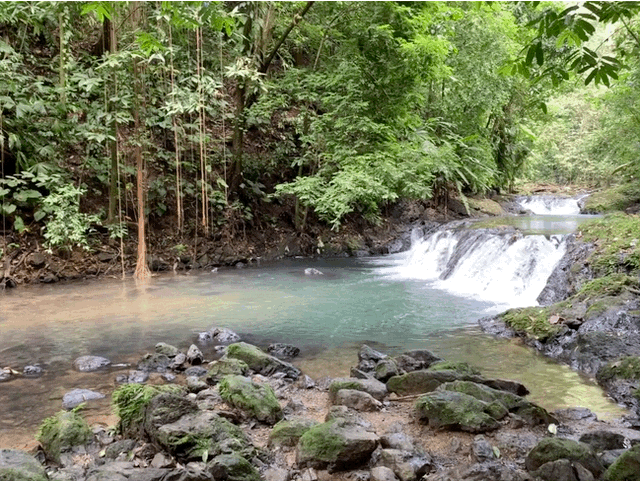 Caída de agua en San Pedrillo Corcovado