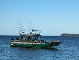 IMG_2980.jpg