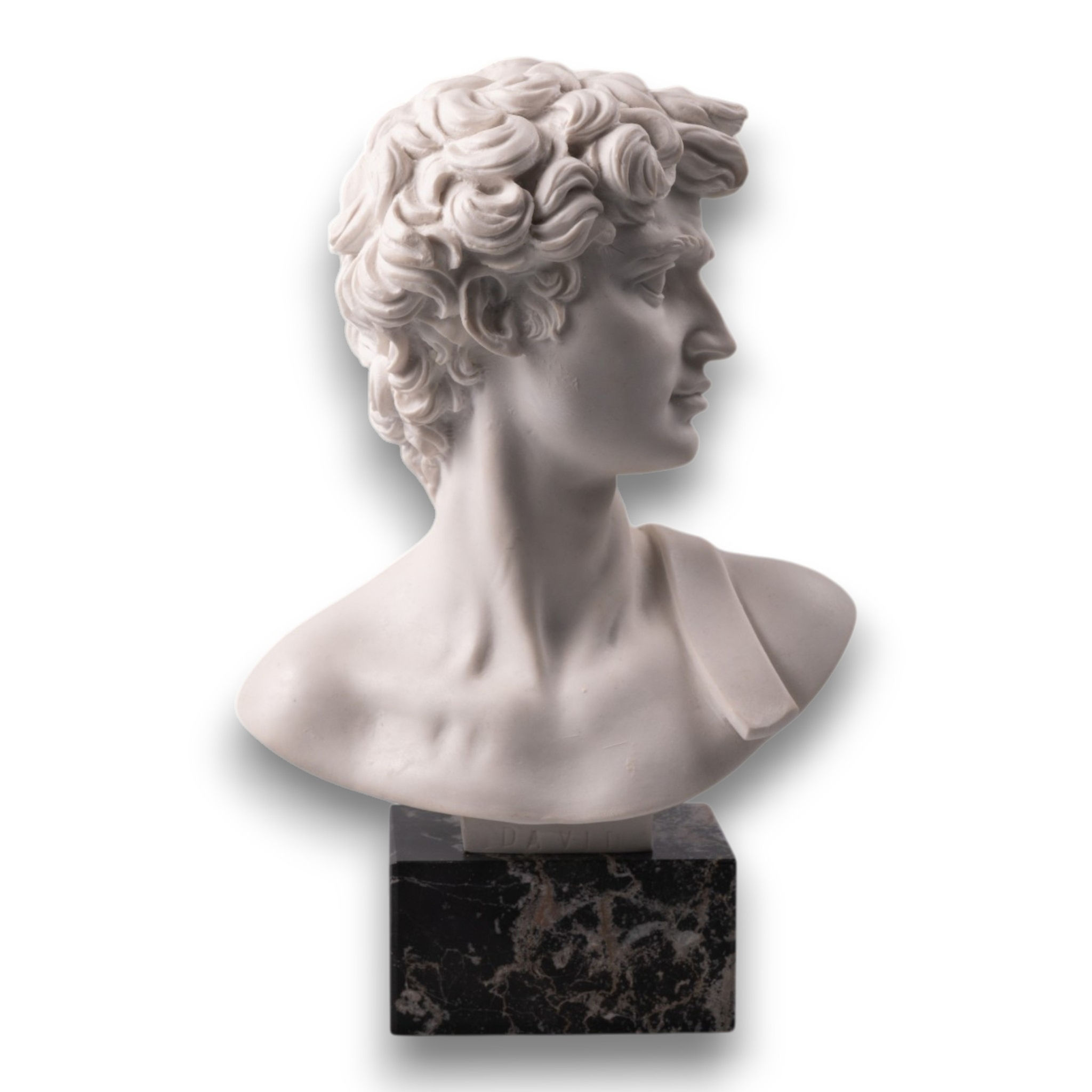 Busto David di Michelangelo
