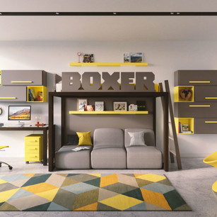 Boxer_1820_01-1200x675.jpeg