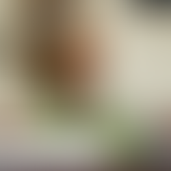 Honoring the Legacy of Rosalynn Carter