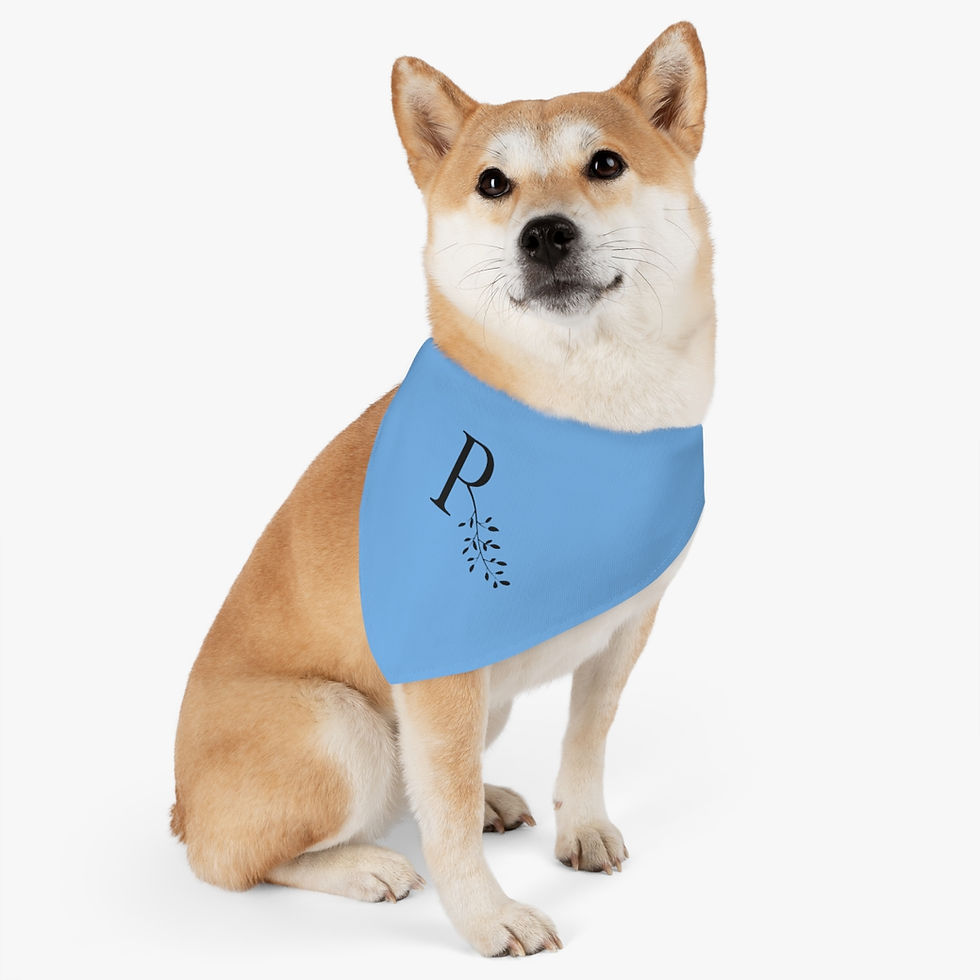 Thumbnail: Pet Bandana Collar