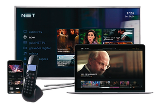 netSITE-01222.png