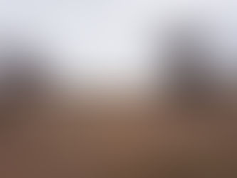 Our Farm Finds a New Home!