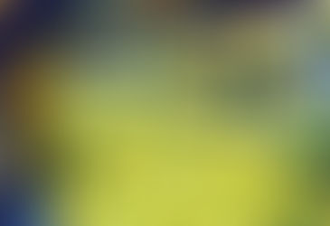 Trump frenó las exportaciones de limones argentinos a EEUU