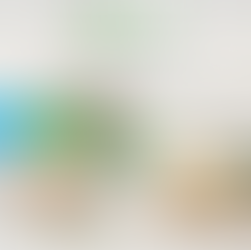 Prebiotics vs Probiotics: Why Your Gut Needs Fiber for Balance