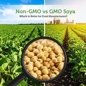 Non GMO vs GMO Soya Protein