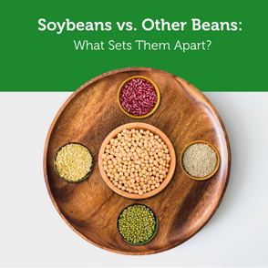 Soybeans vs. Other Beans: What Sets Them Apart?