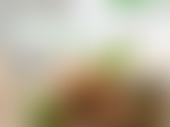 How Soyabean is Extracted in Industries