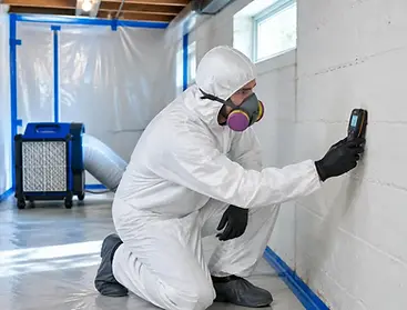 moisture testing for mold.webp