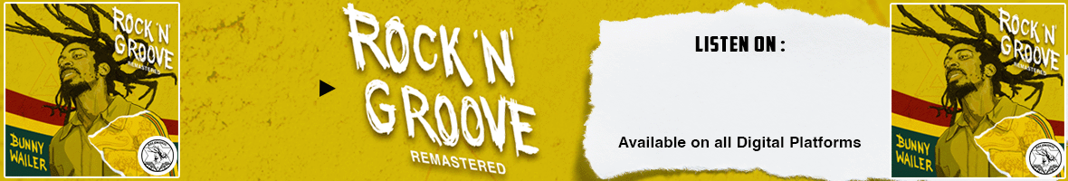 Rock n Groove - Website Banner