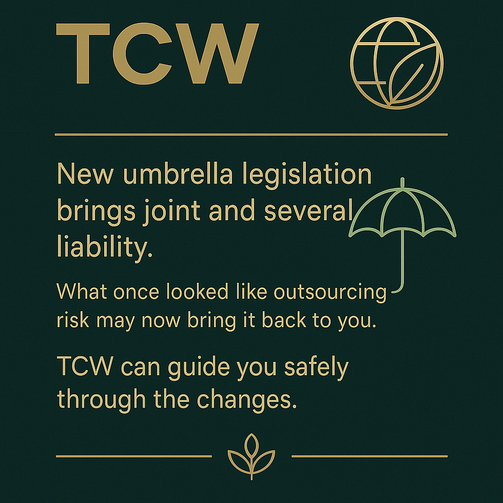 Approaching the new umbrella legislation with caution – advice for our clients