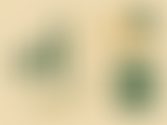 Navigating Holiday Pay and Entitlement – a TCW Accountancy Overview