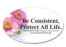 755 - Peace & Life: No Kings / Immigrants - April 3, 2026