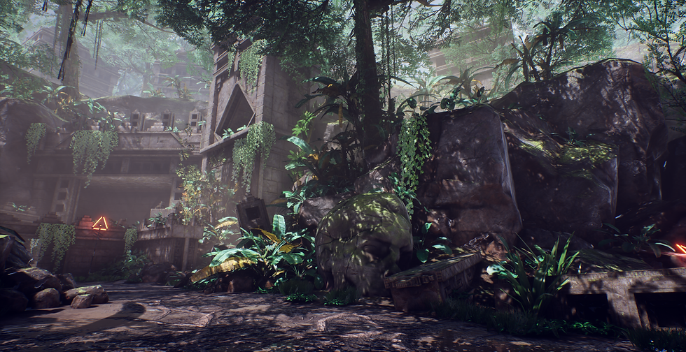 jungle_beaty_corner (12)